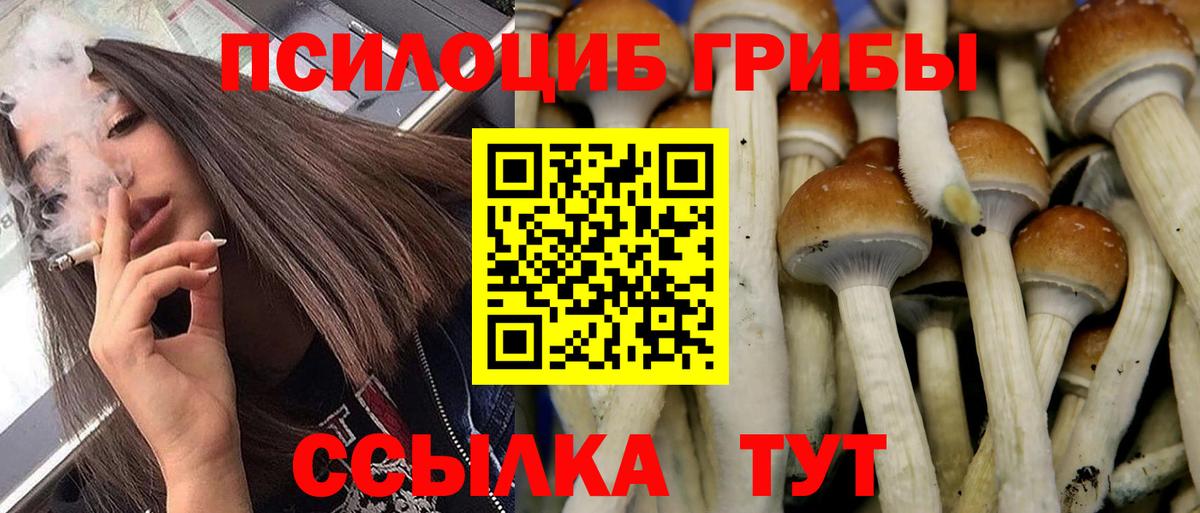 Галлюциногенные грибы Magic Shrooms Будённовск